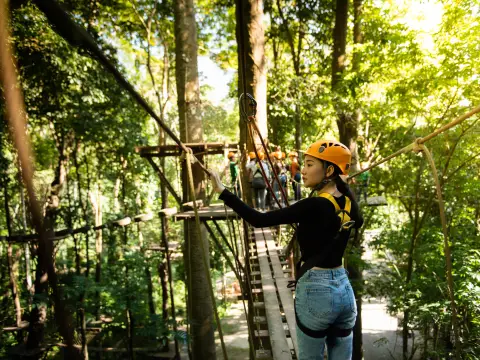 เดินสะพานไม้