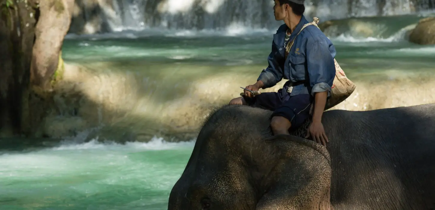 Full-Day Mountain Biking & Elephant Experience Adventure (No Riding)