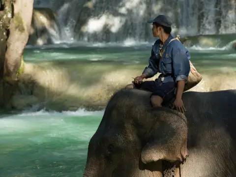 Full-Day Mountain Biking & Elephant Experience Adventure (No Riding)