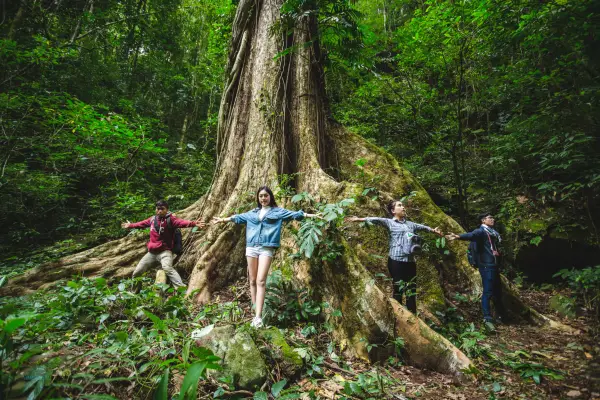 Resort Car, Trekking, Giant Trees at Nam Kat Yorla Pa