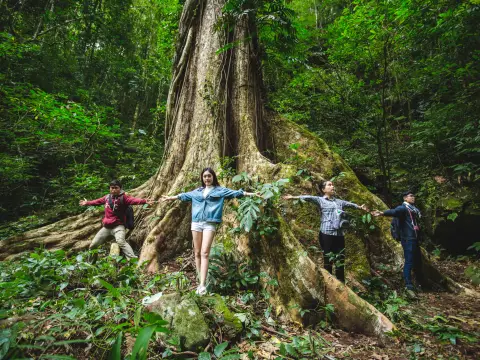 Resort Car, Trekking, Giant Trees at Nam Kat Yorla Pa