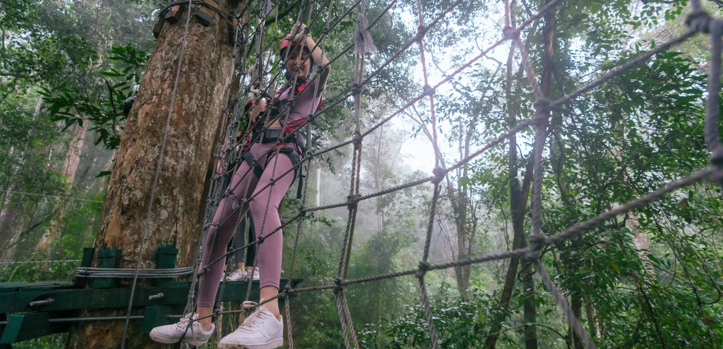 Package D | Water Park > Zip Line > Tree Top at Nam Pien Yorlapa