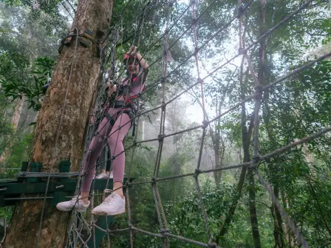 D套餐 | 水上乐园 > 滑索 > 树顶