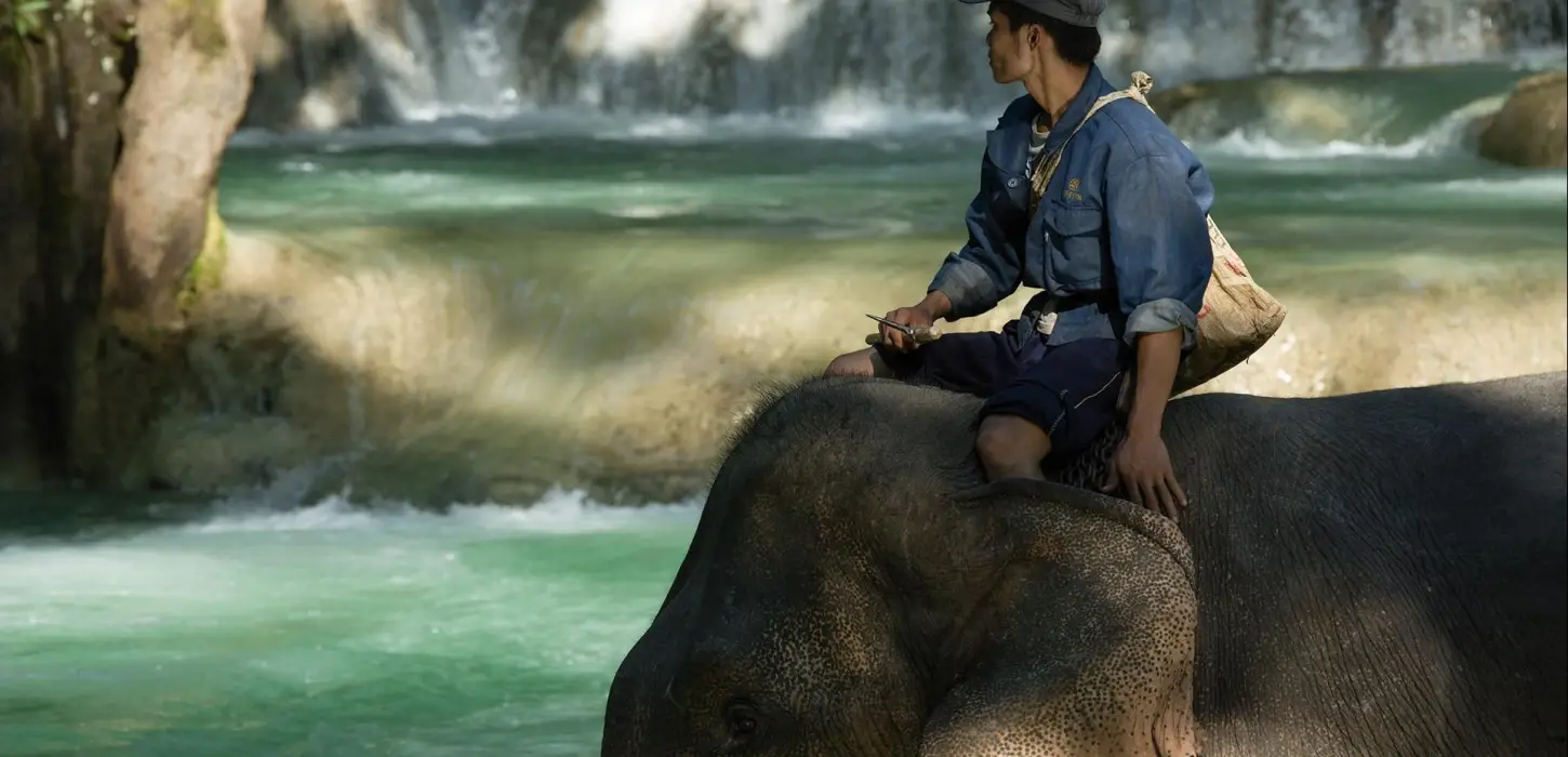 2 Day Deluxe Living with Elephant Mahout Program