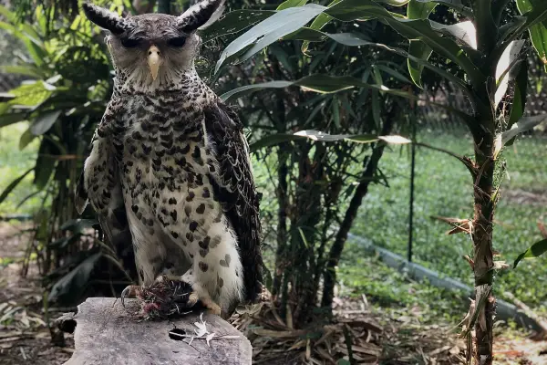 Discover the Wild: Half-Day Trekking Adventure at LCTW