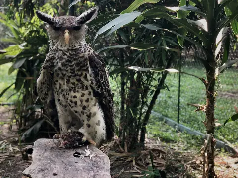 Discover the Wild: Half-Day Trekking Adventure at LCTW