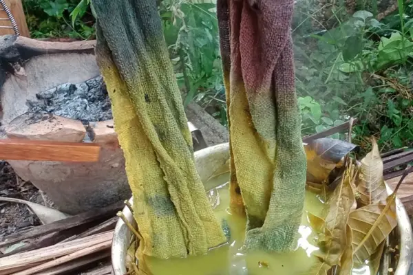 Full-Day Natural Dye Workshop At BanLue Handicrafts Center