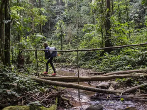 4-Day Jungle Trekking & Camping Adventure in Nam Ha – Luang Namtha