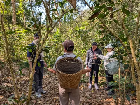 The Coffee Trail: 1 Day Hiking in a Hmong And Coffee Village in Luang Prabang