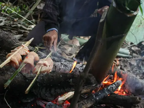 The Wild Explorer – Big Adventure with Jungle Camping