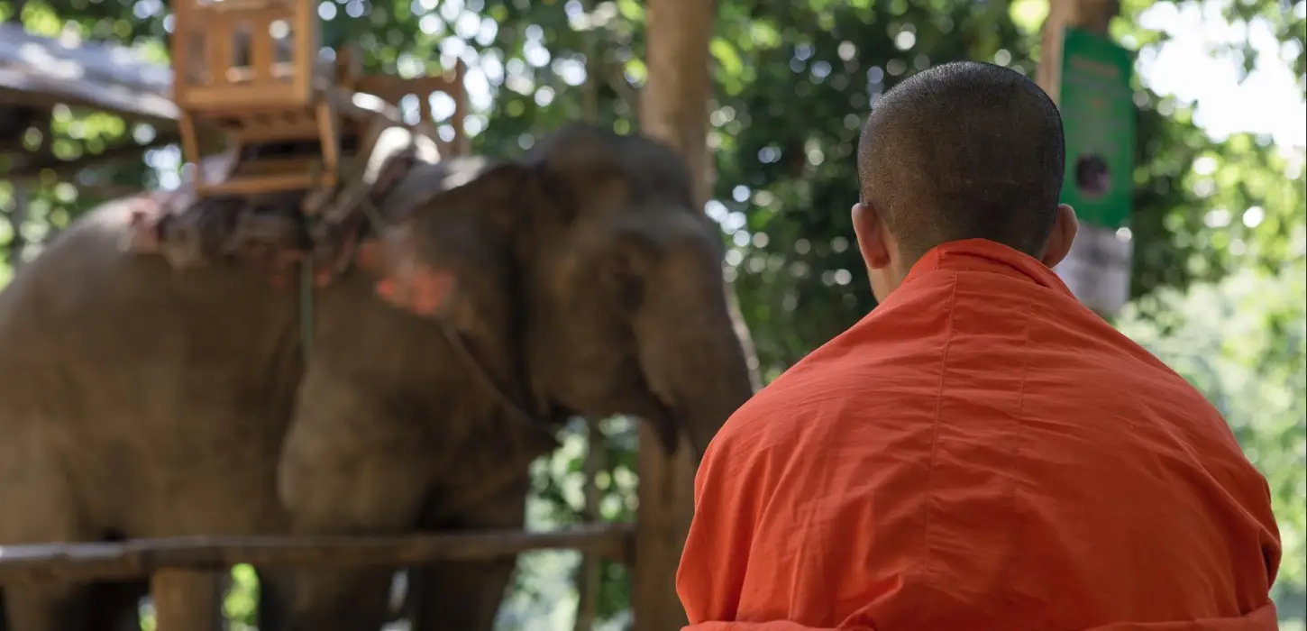 2 Day Trekking, Elephants & Soft Kayaking