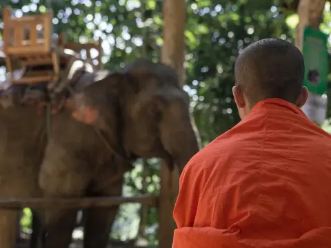 2 Day Trekking, Elephants & Soft Kayaking