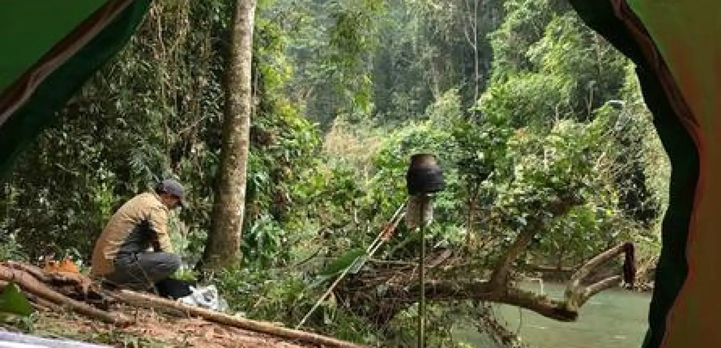 2-Day Jungle Trekking, Bamboo Cooking & Village Discovery