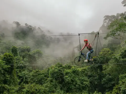南片约拉帕的树顶体验