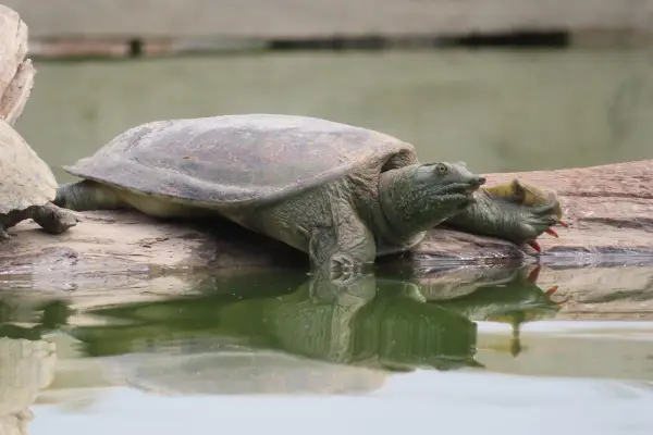 Quick Discovery Walk at LCTW