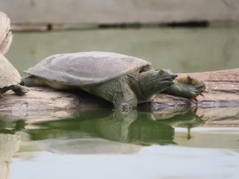 Quick Discovery Walk at LCTW