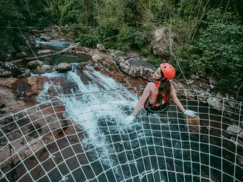 ໄຕ່ຕາໜ່າງແມງມຸມ