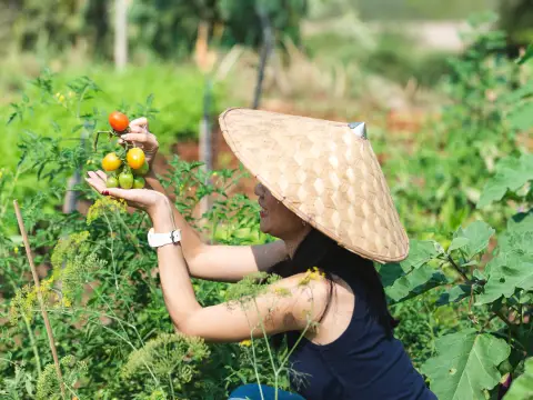 Half-Day Organic Farm Workshop