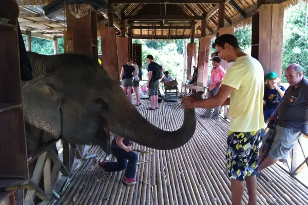 2 Day Mahout Experience with Overnight (Shangri Lao)