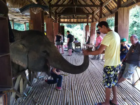 2 Day Mahout Experience with Overnight (Shangri Lao)