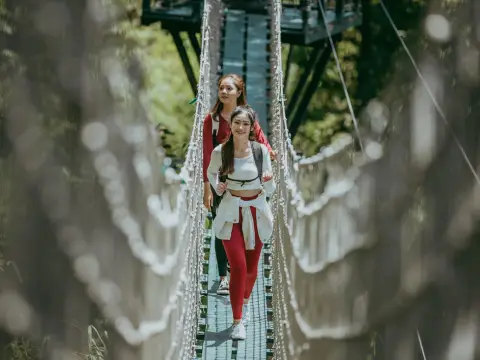 丛林栈道 - 22座吊桥