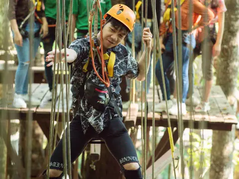 เดินข้ามไม้