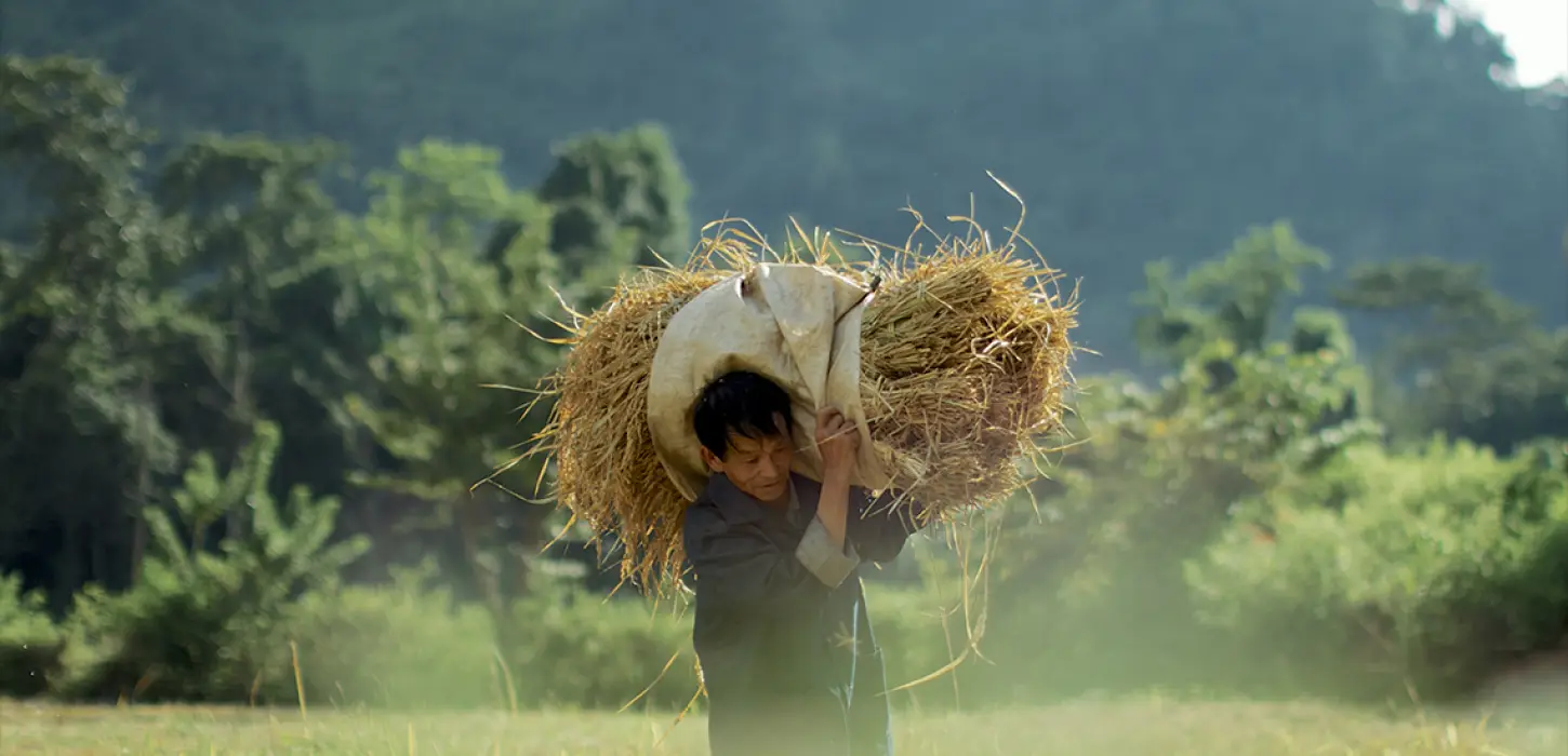 Eco Bungalow - Field Work