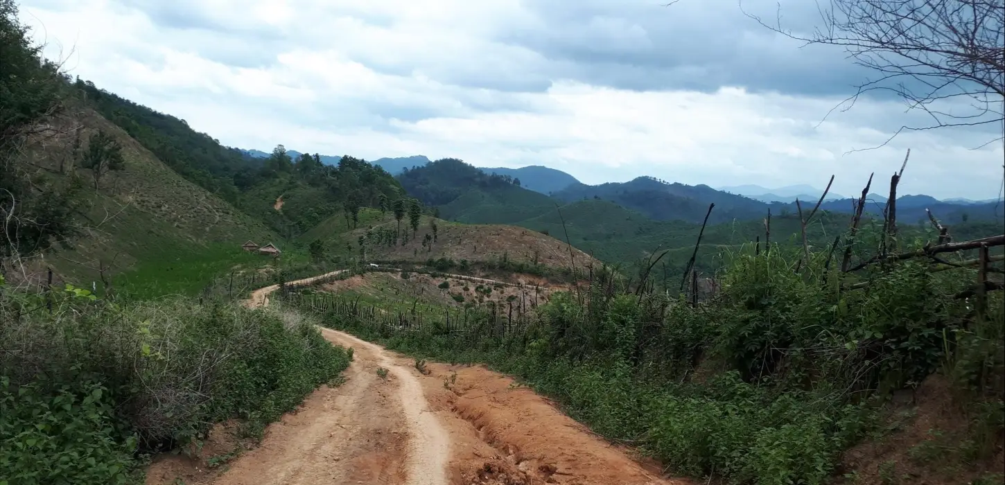 1 Day Biking On/Off-road to "Ban Sabai" & Mekong Boat Trip to Pak Ou Caves
