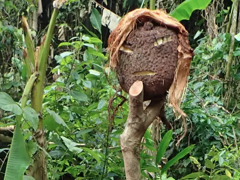 Wild Thrill Trails Camping & Homestay