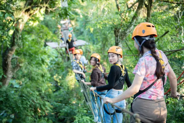 组合项目：花园绳索课程和环绕花园骑大象