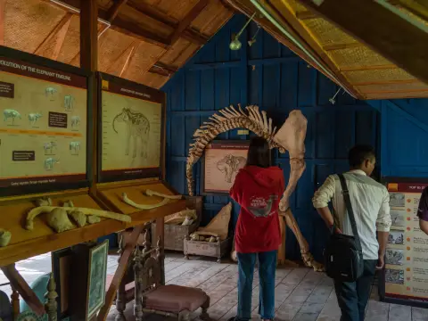 A Short Visit to Elephant Village