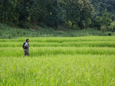 3-Day Nong Khiaw Jungle Adventure & River Expedition