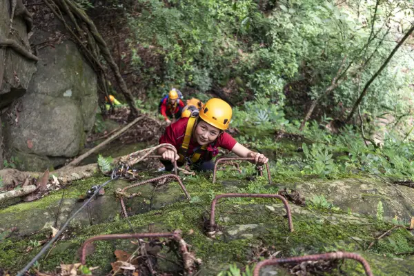 度假村车游览，徒步，攀岩，滑索，树屋和绳降
