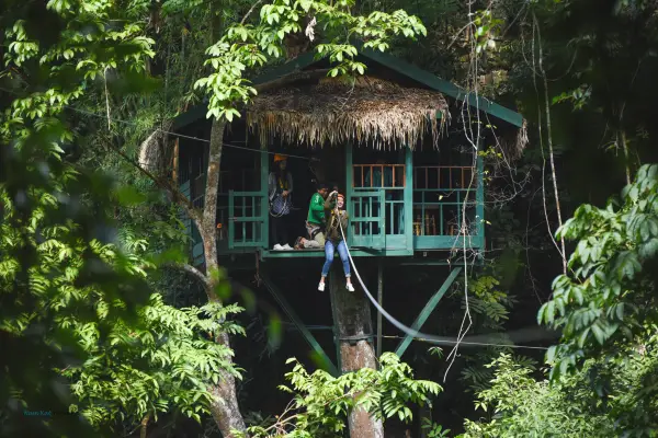 度假村汽车游览，徒步旅行，攀岩，铁索架，树屋