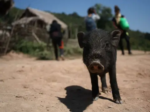 Exploring Remote Ethnic Lands