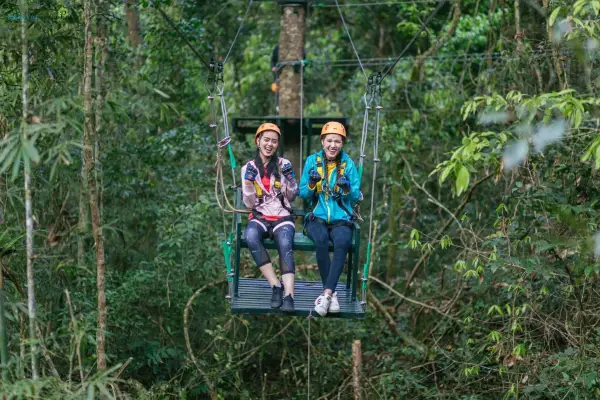 惊人的树顶16任务