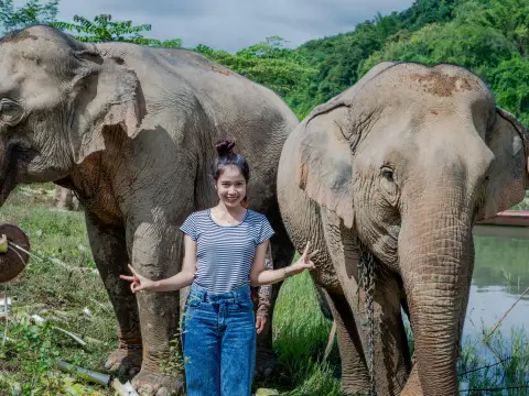 Half Day Elephant Experience