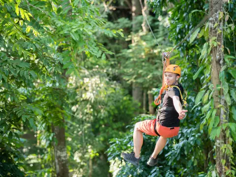 ซิปไลน์ (โหนสลิง)