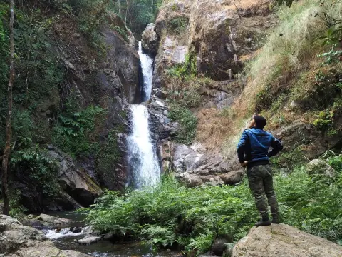 ธรรมชาติในป่า